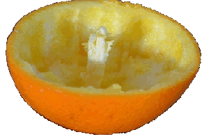 Orange ausgehölt