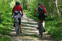Frühling - Wie mache ich mein Fahrrad wieder fit?
